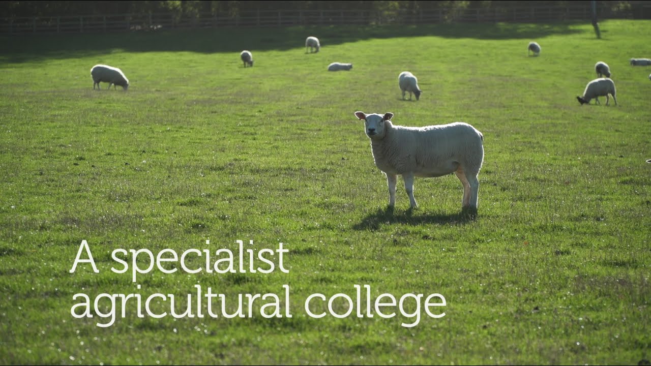 Study Agriculture at Bishop Burton College and University Centre