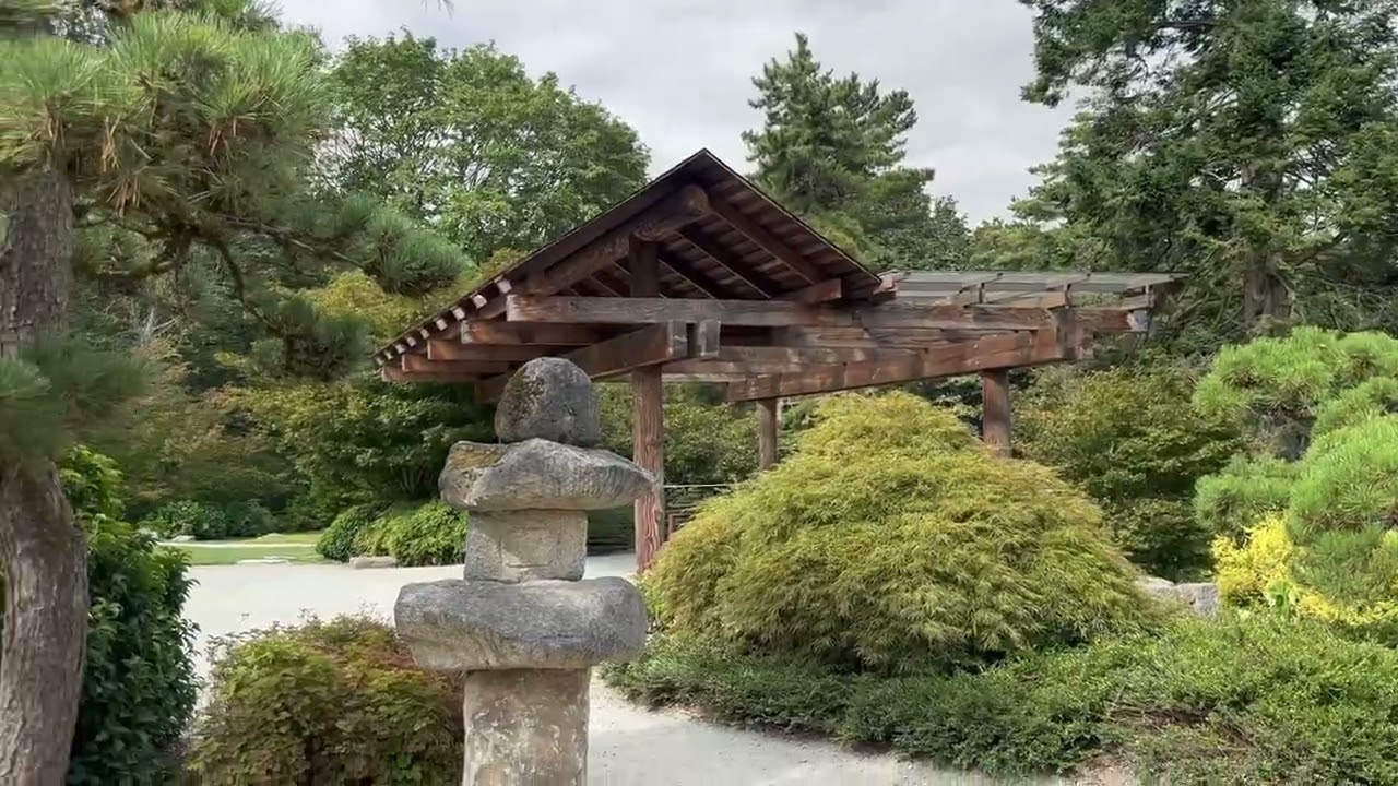 How to Restore a Neglected, Overgrown Public Japanese Garden—A Suggested Program