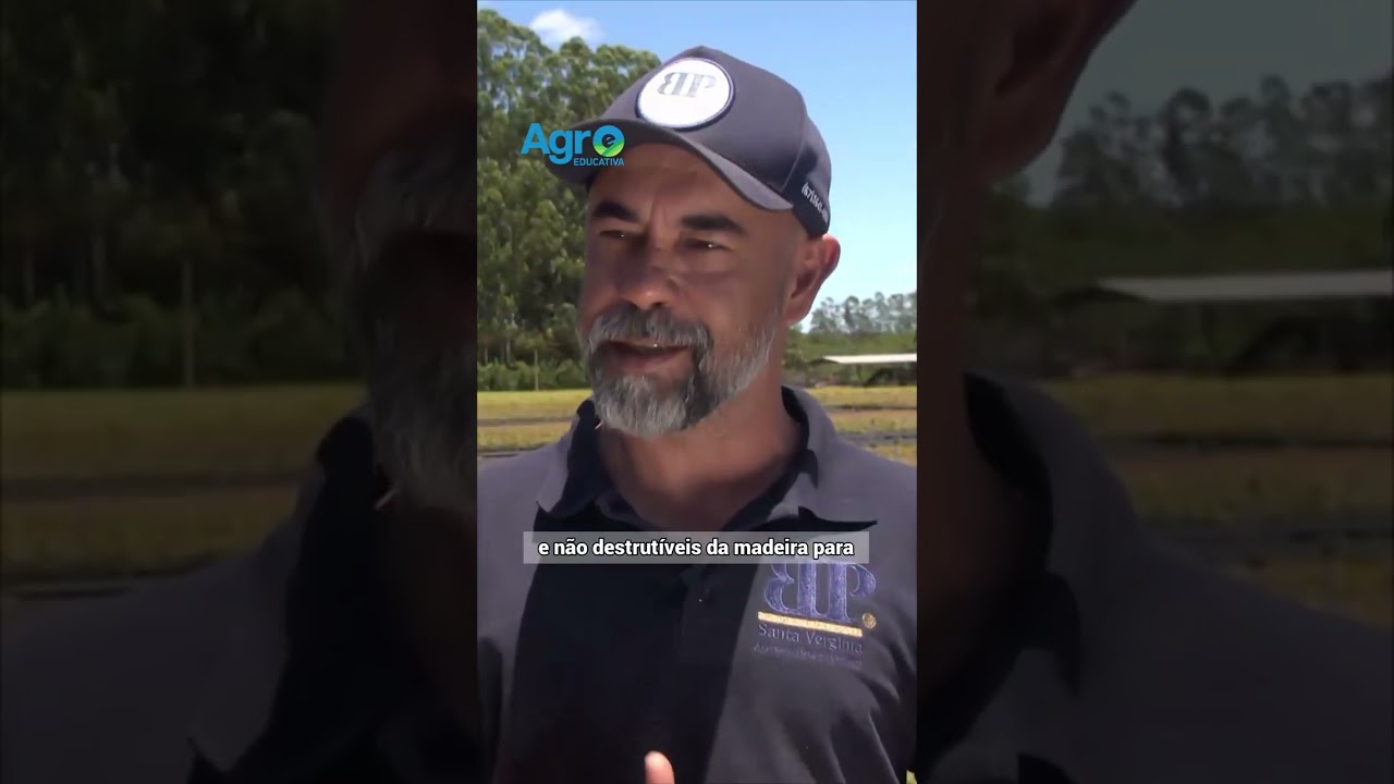 A primeira fazenda carbono neutro do Brasil existe! Veja!