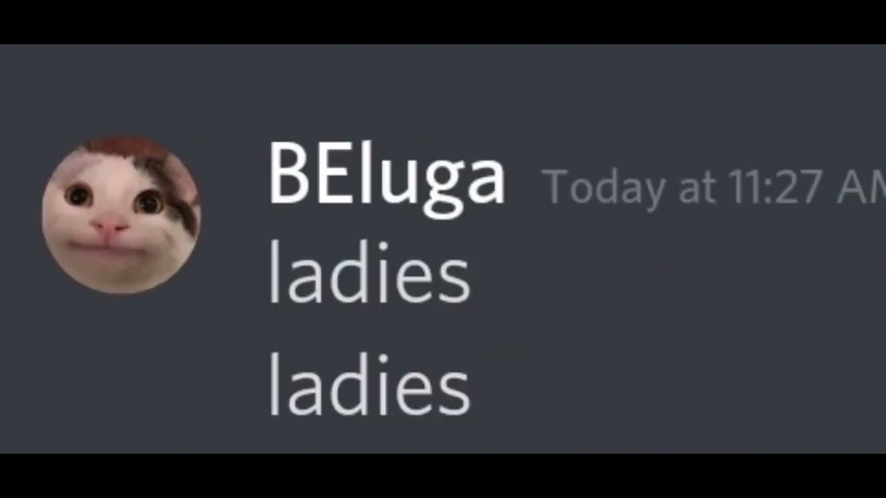 Skittle chan gets angry when Beluga kissed snowie