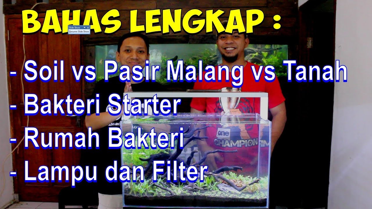 Tutorial Aquascape - Substrat/Soil, Pupuk Dasar, Lighting (Mana yang Paling Penting?)