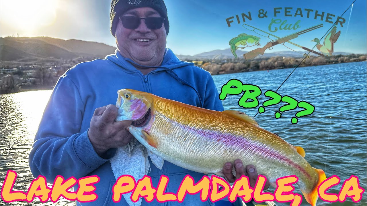 ⚡️В ОЗЕРЕ ПАЛМДЕЙЛ, КАЛИФОРНИЯ, УДАРИЛАСЬ МОЛНИЯ‼️2 ДНЯ ОТЛИЧНОЙ РЫБАЛКИ НА ФОРЕЛЬ В КЛУБЕ PALMDA...