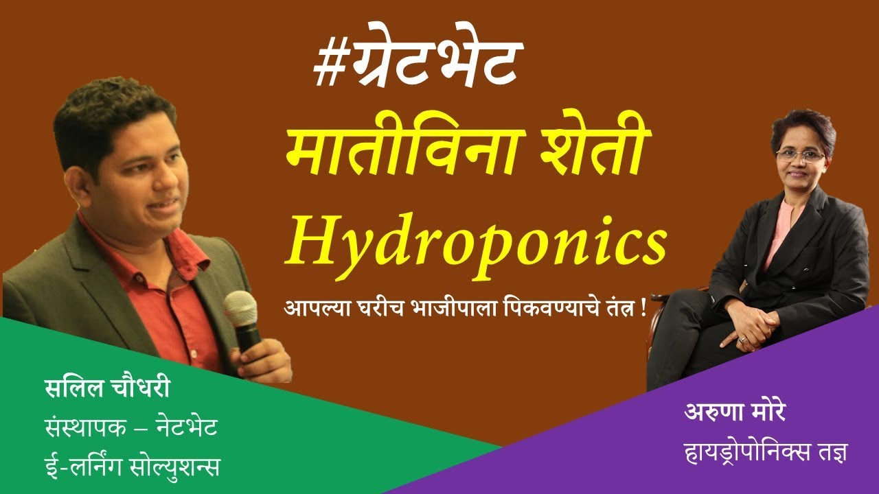 मातीविना शेती | Hydroponics system for Beginners in Marathi | Hydroponics farming examples