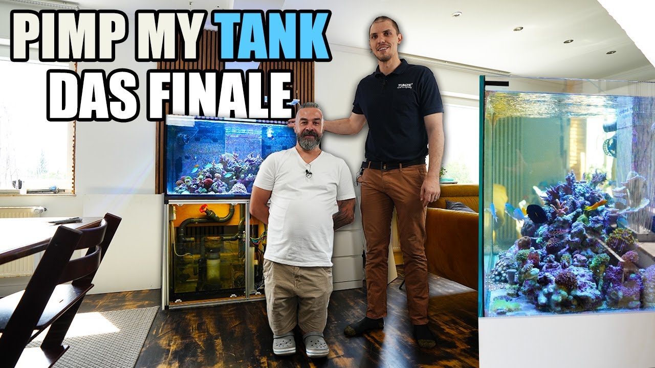 Pimp my Tank - DAS FINALE mit Felix Tunze