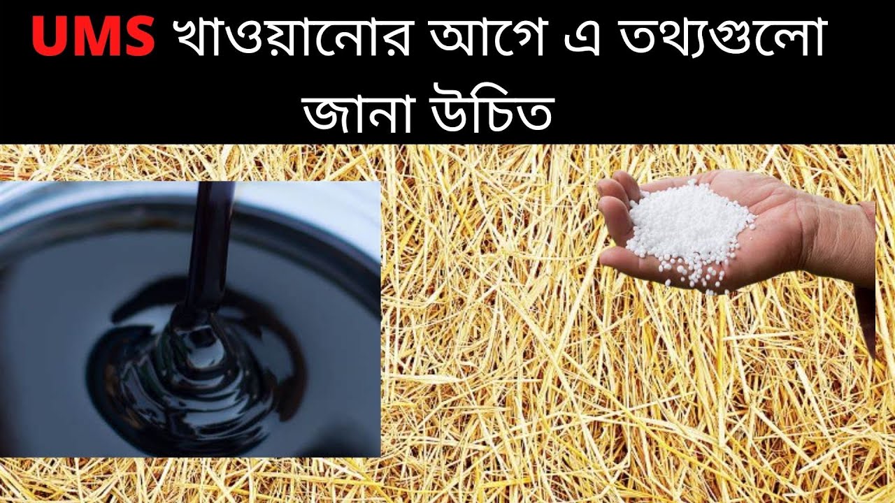 UMS খাওয়ানোর আগে এ তথ্যগুলো জানা উচিত।