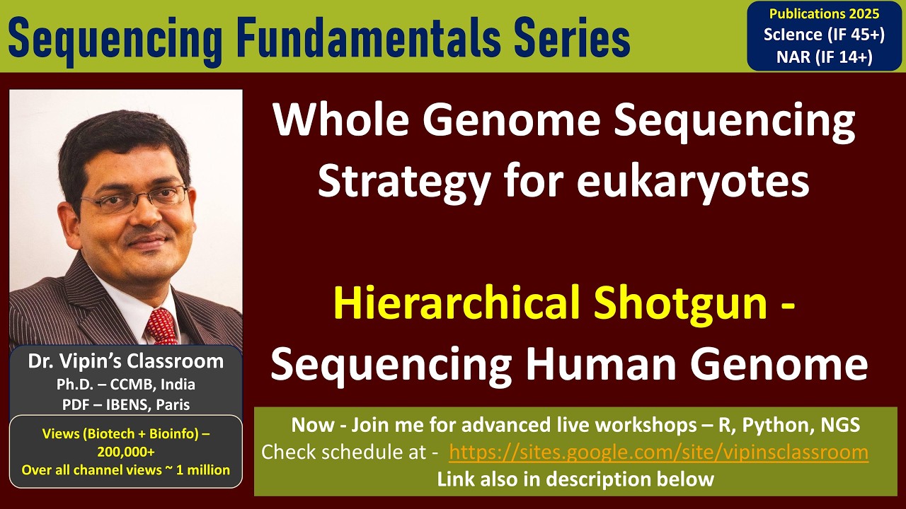 GE12 - Sequencing the human genome - Hierarchical Shotgun Sequencing