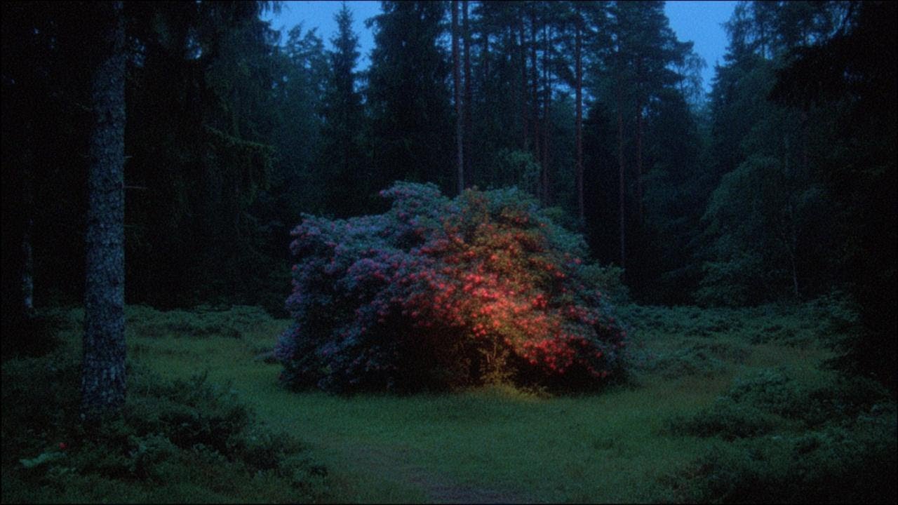 low drone ambient for silent rooms