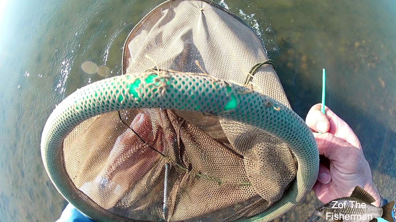 KRUPNA BABUSKA FIDEROM NA GRUZANSKOM JEZERU 09.05.2020 (🐟 4k Video🐟 )