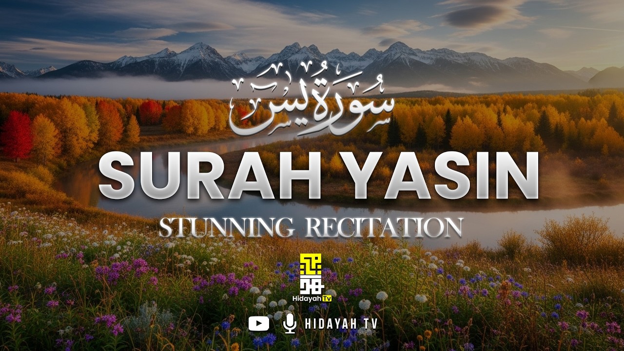Surah Yaseen سورة يس | The Most Calming & Powerful Quran Recitation That Touches the Heart