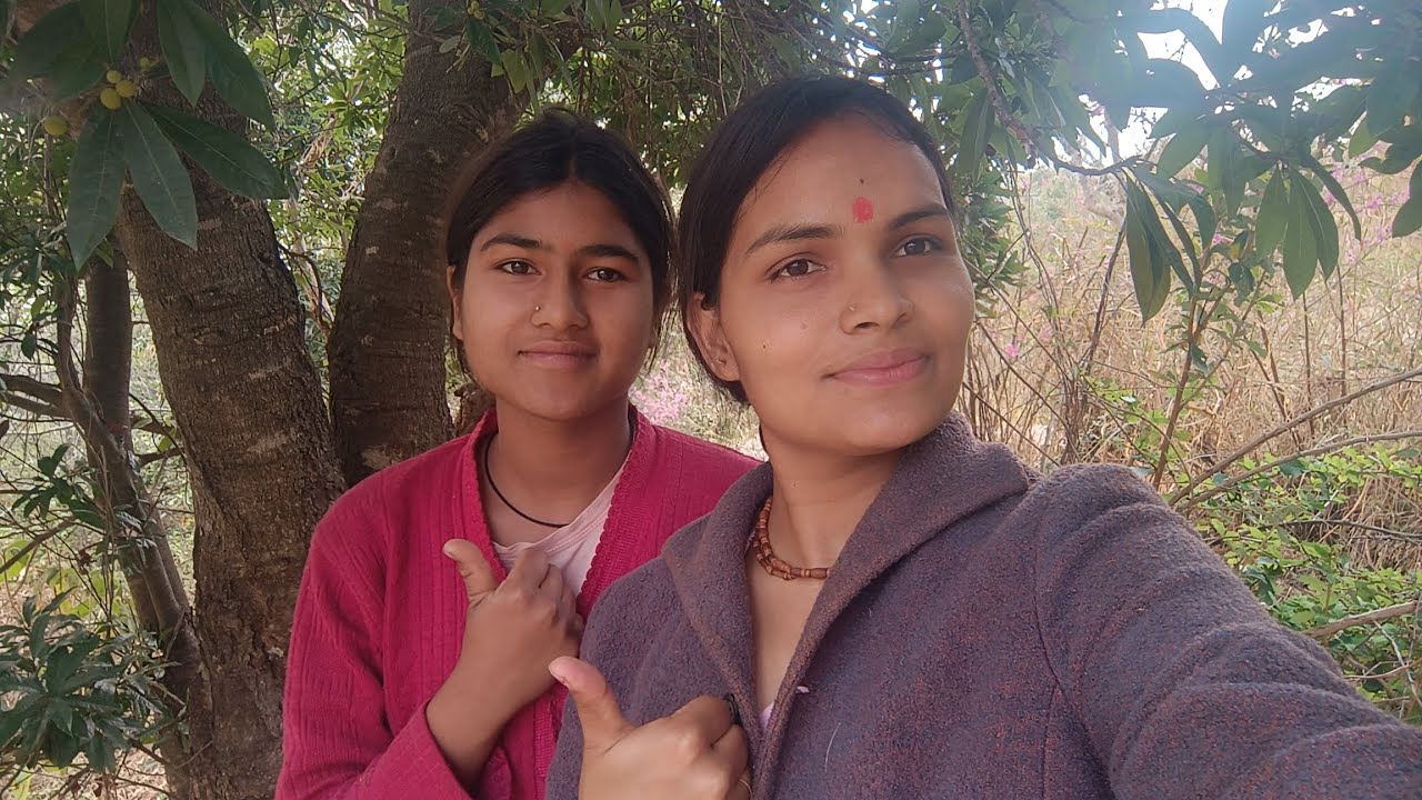 गांव में काफल पकने का सीजन शुरू हो गया हैं ❤️😍 बाप रे कितने ज्यादा काफल हो रखे हैं इस बार 😱🙏