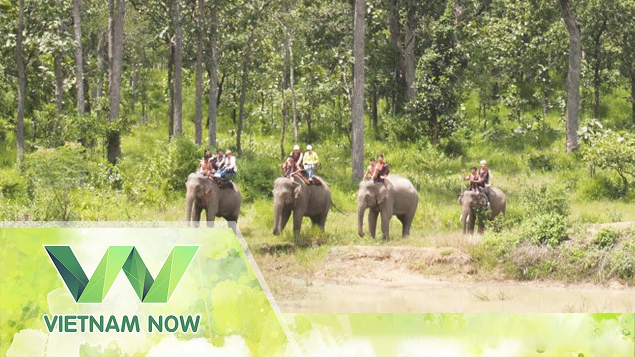 Vườn quốc gia Yok Đôn-Thiên nhiên hoang sơ nơi núi rừng Tây Nguyên