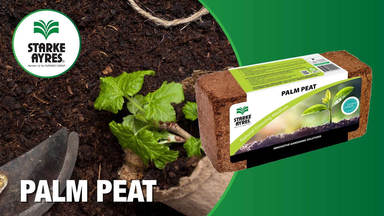 Starke Ayres Palm Peat with Tanya Visser