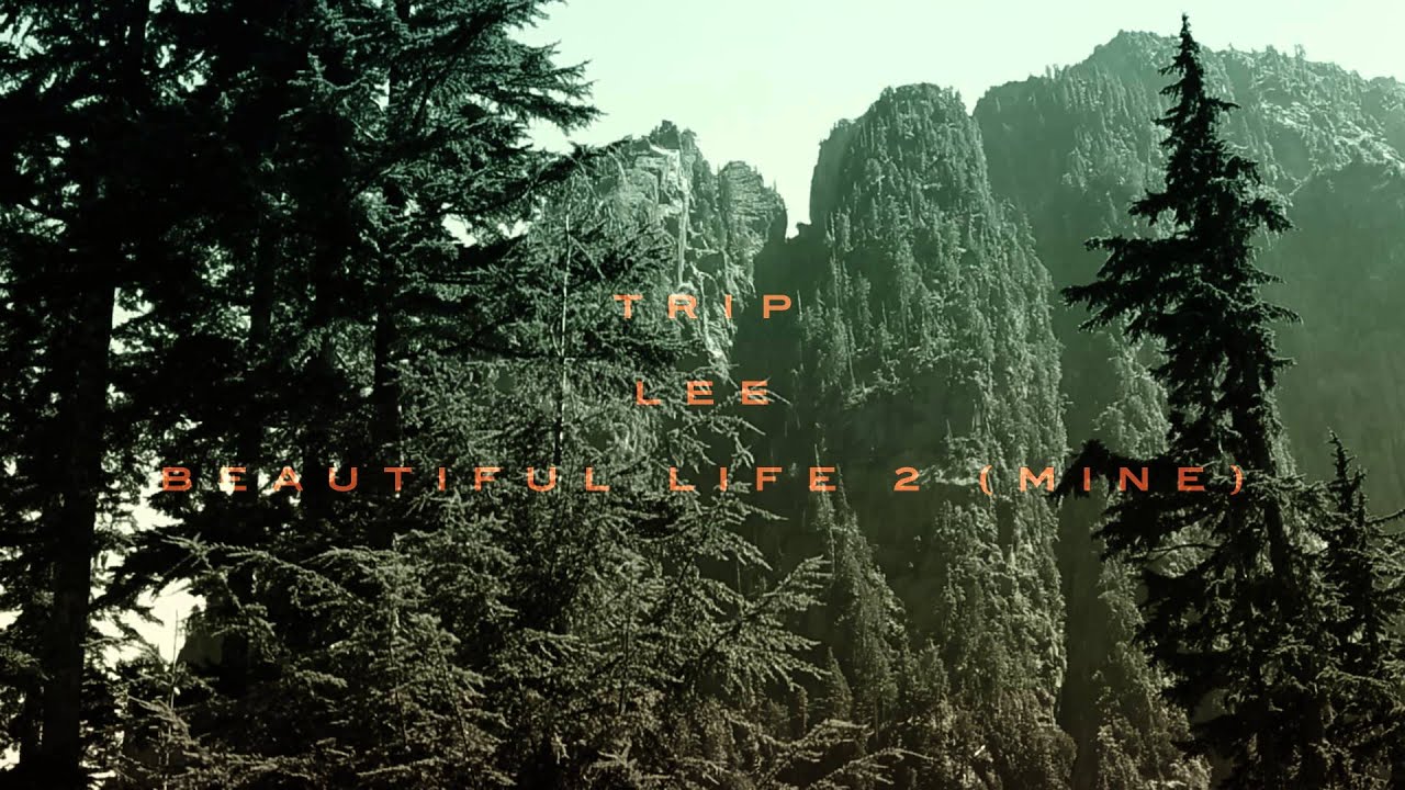 Trip Lee - Beautiful Life 2 (Mine)