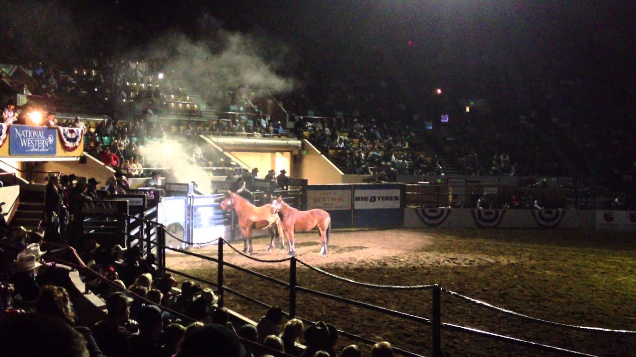 National Western Stock Show: An amazing rodeo closing