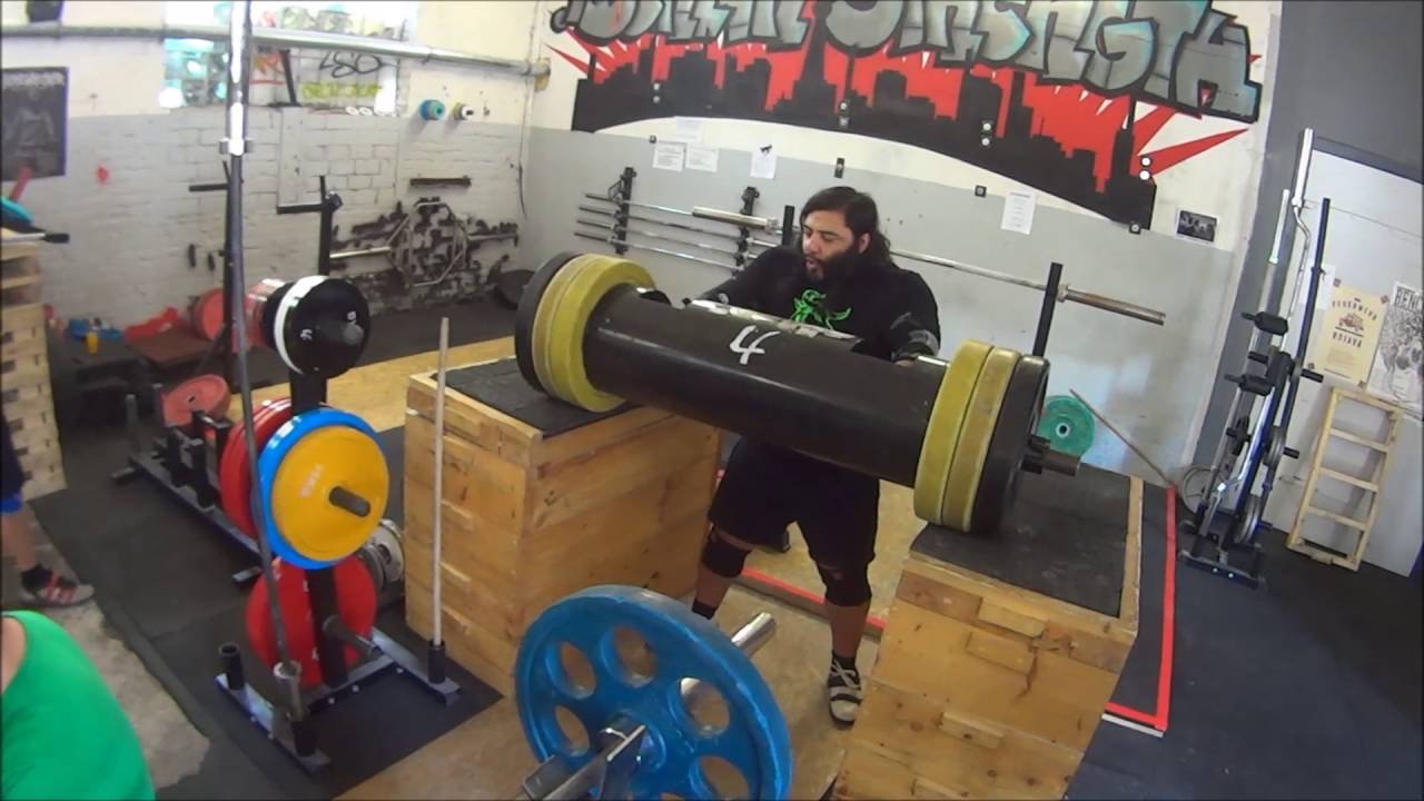 Vegetarian Power team in Berlin Strength gym