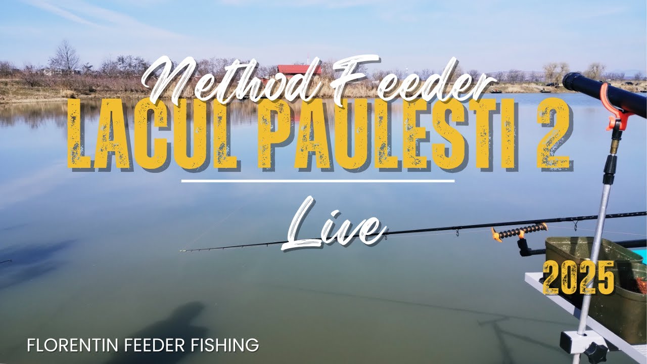 Method Feeder  Lacul Paulesti 2 -  live! #methodfeeder #carpfishing