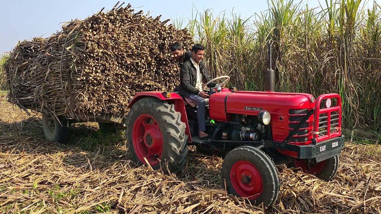 zetor 2011 on ganna trolley (20 hp)