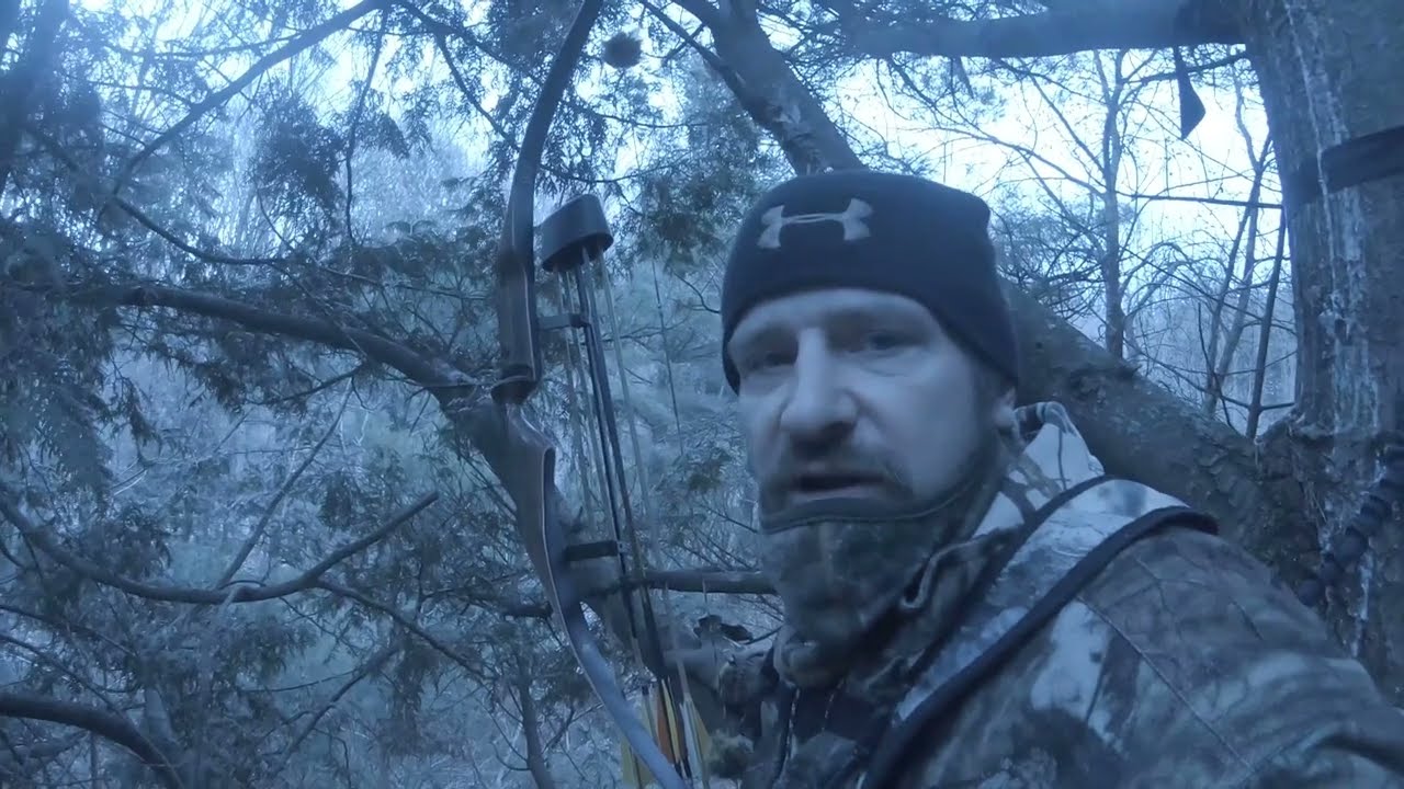 Traditional bow hunt 4 points Buck Bear Recurve Super Kodiak