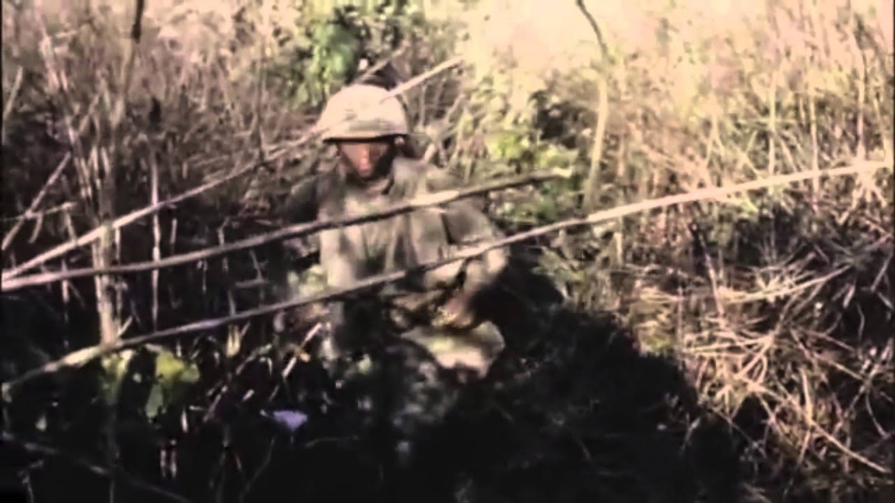Dak To, Vietnam 1967, The 173rd Airborne Brigade (SEP)