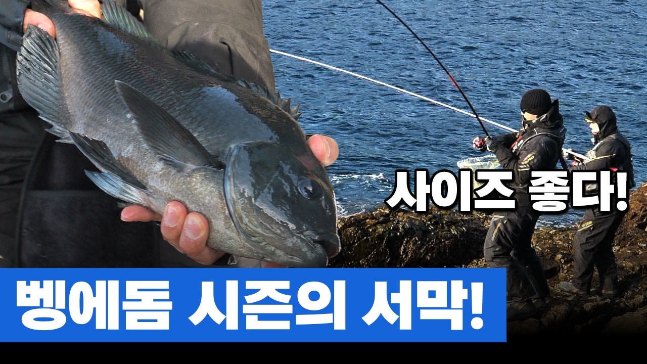 벵에돔의 예민함을 극복해라 [조신 12회]