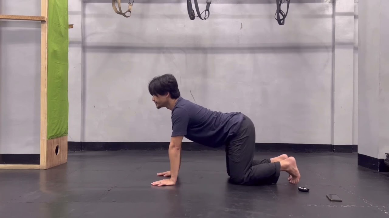 Cross Crawl Hands to Knees