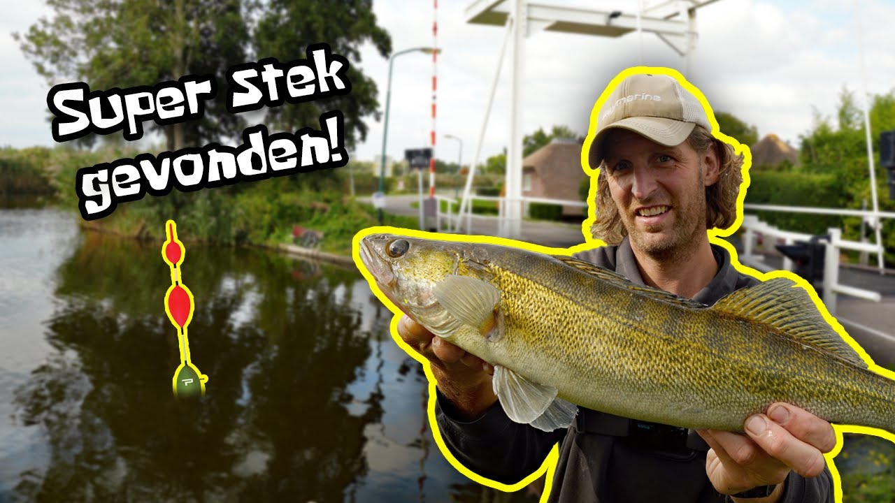 SNOEKBAARZEN vanaf de KANT met DOODAAS en de HoempiePloempie Pen