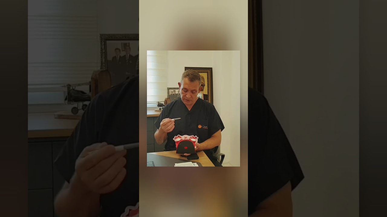 Tüp Bebek Transferi Sonrası Dikkat Edilmesi Gerekenler