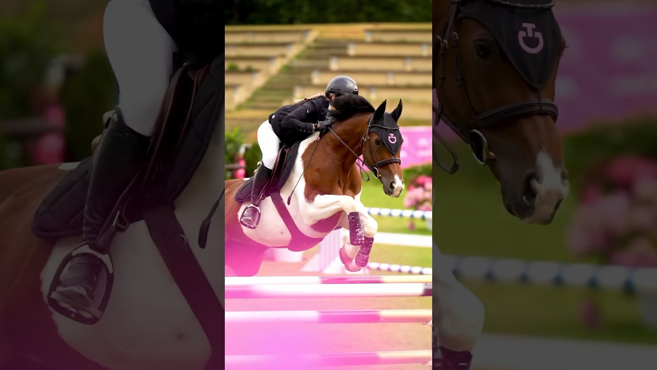 DINARD VIBES 🤩🩷 #chevaux #cheval #equitation #horse #equestrian #cso #dinard