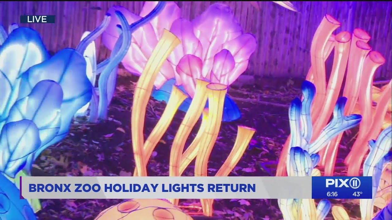 Bronx Zoo holiday lights