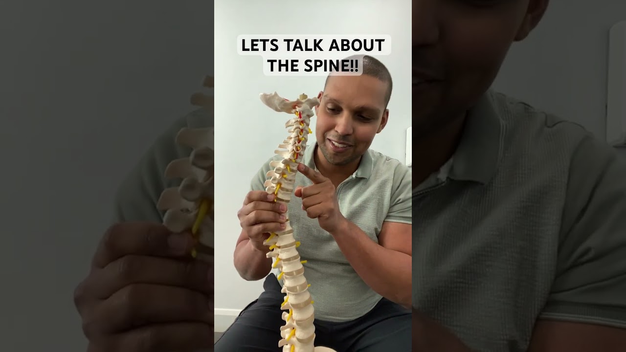 Lets talk about the Spine with Chiro Q #anatomy #education #health