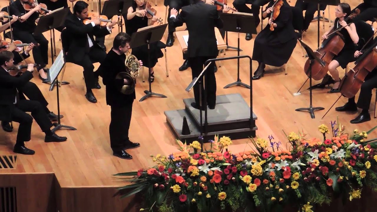 Concertino de Weber