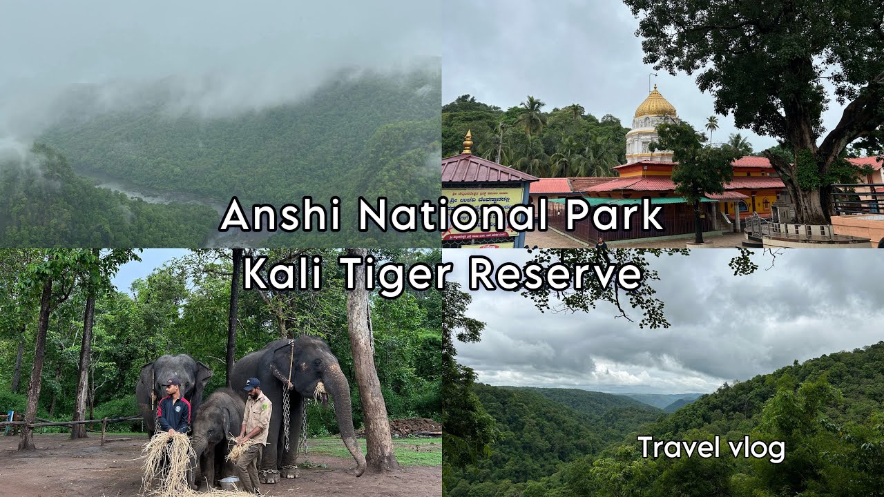 Anshi National Park | Kali Tiger Reserve | Travel Vlog | Dandeli wildlife Sanctuary | Forest Life