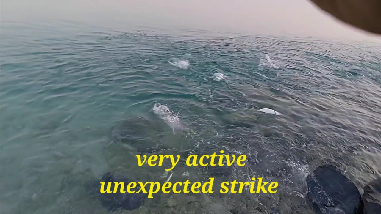 Un expected strike//Abu Dhabi shore casting//Orange Spotted Trevally landed