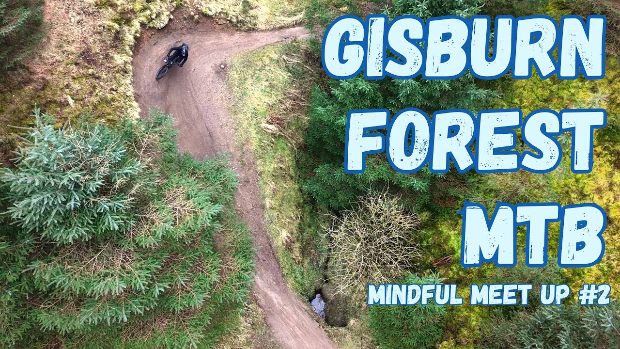 Осознанная встреча №2 — горный велосипед Gisburn Forest