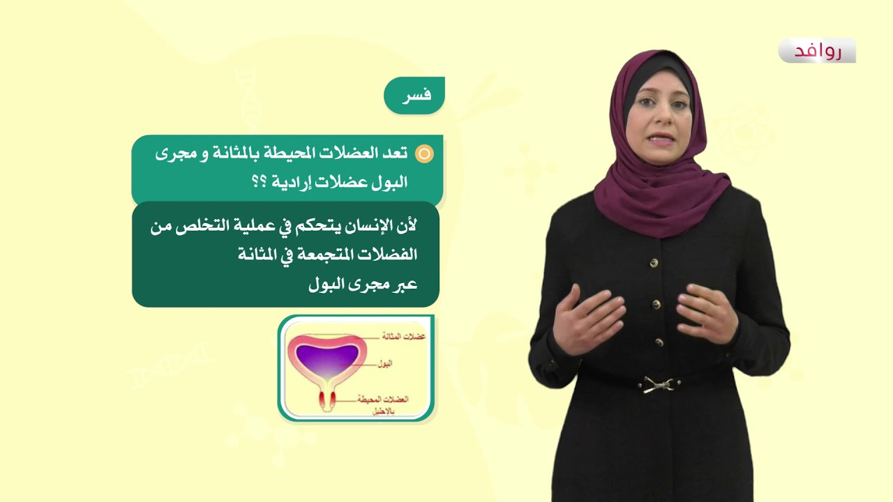 العلوم والحياة 6 - فصل 2 | الجهاز البولي