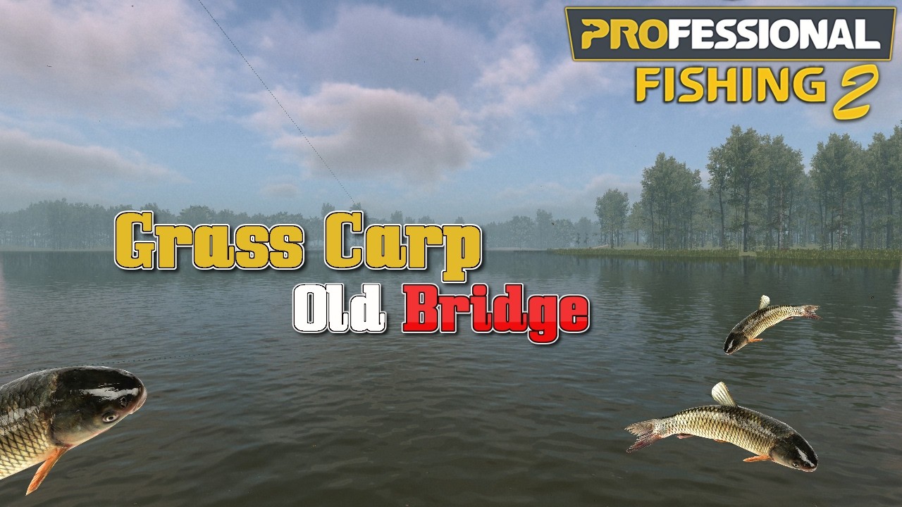 Professional Fishing 2🎣 Jak łowić AMURY na Old Bridge? Test 2h połowu i zarobków | REALISTIC