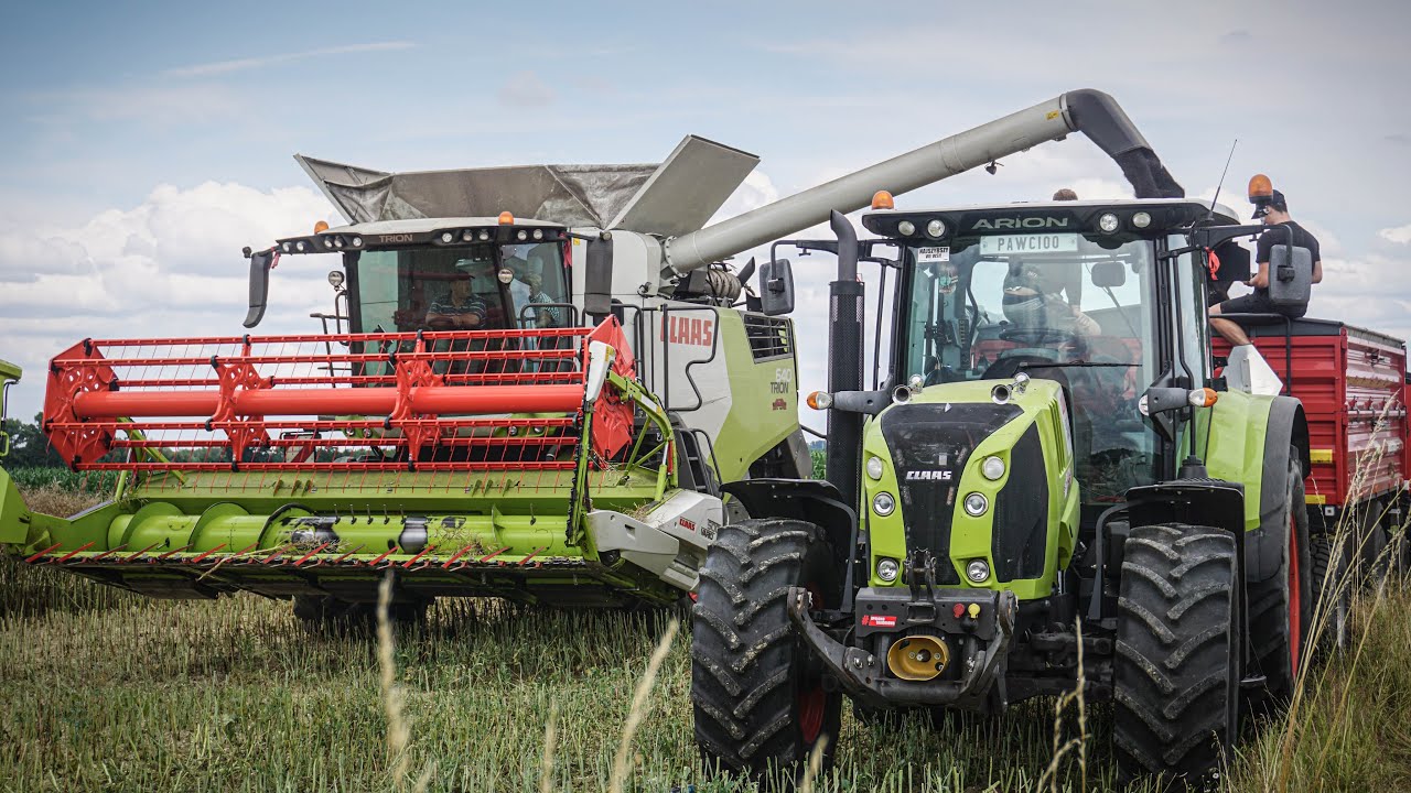 🇵🇱Żniwa Rzepaku 2025 z Claasą🔥4,5T Z HA Trion w Akcji✔UR Mariusz Szuster✔