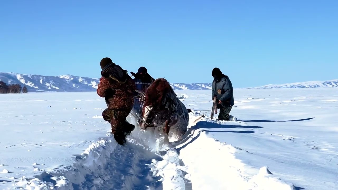 Маркакольский заповедник: Маркаколь, Зайсан, Староавстрийская дорога