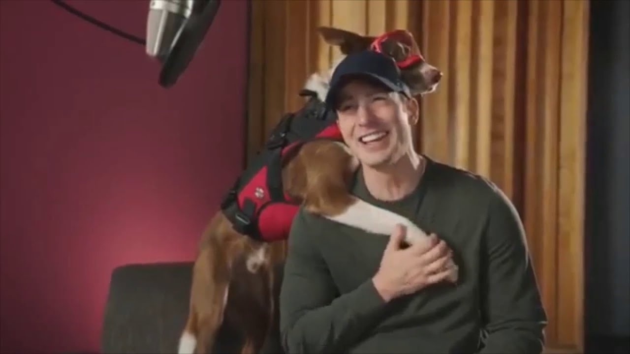 Chris Evans with doggos for 6 minutes straight.