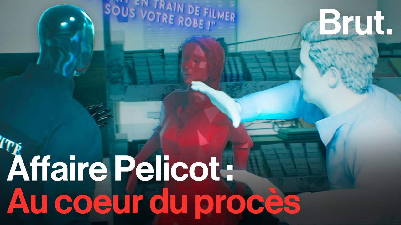 Retour sur le procès Pelicot, une affaire historique.