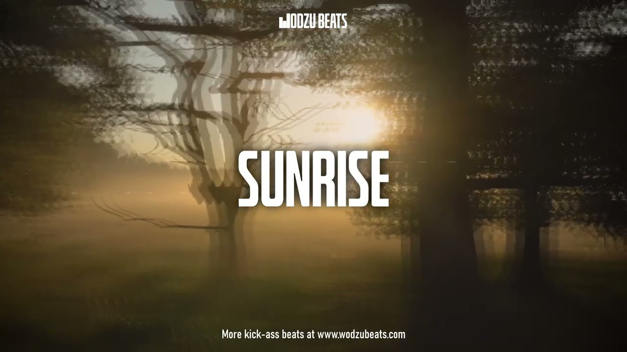 CHILL FREDDIE DREDD PHONK TYPE BEAT 2023 | SUNRISE