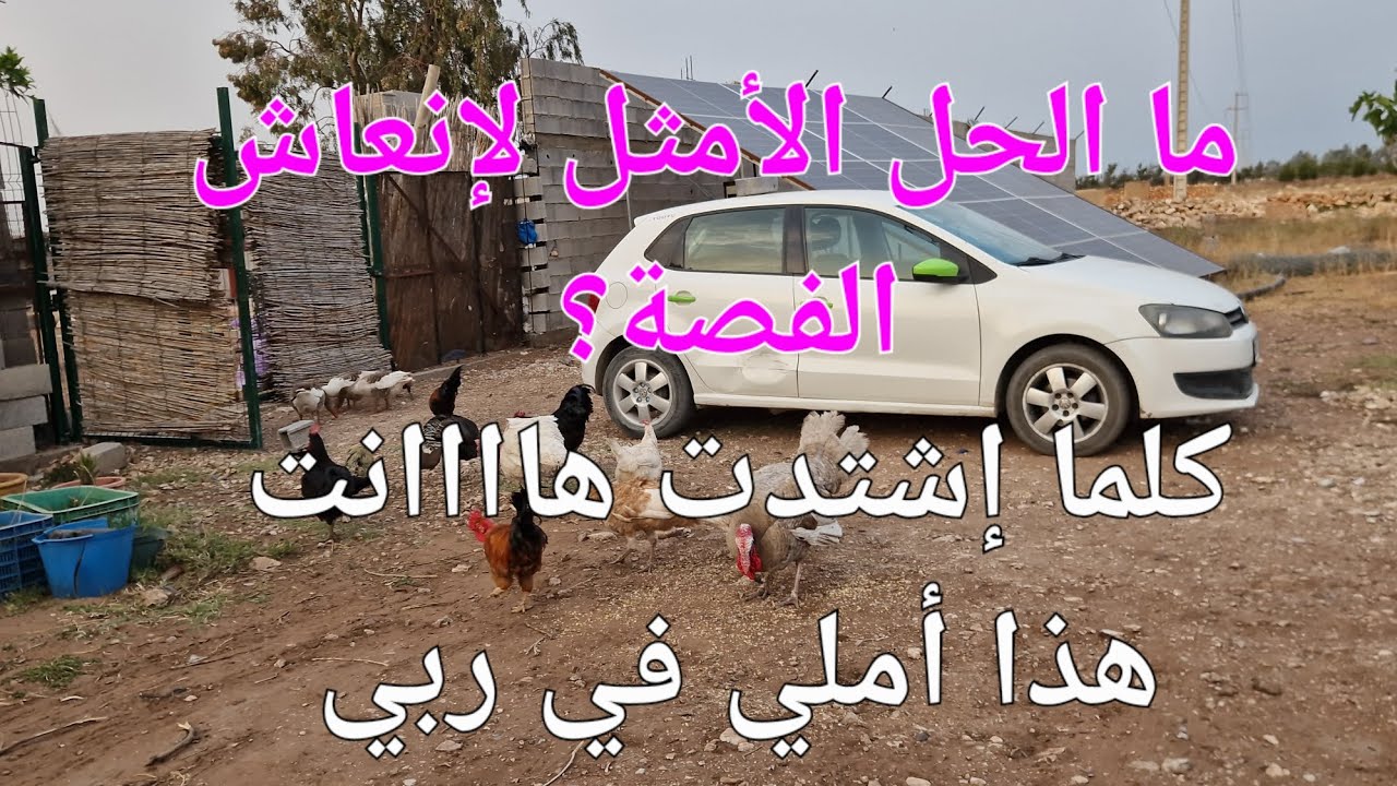 الحلقة 526🌱🌱🌱 الأزمة لي ما تقضي عليك تزيدك قوة على الإستمرار❤️