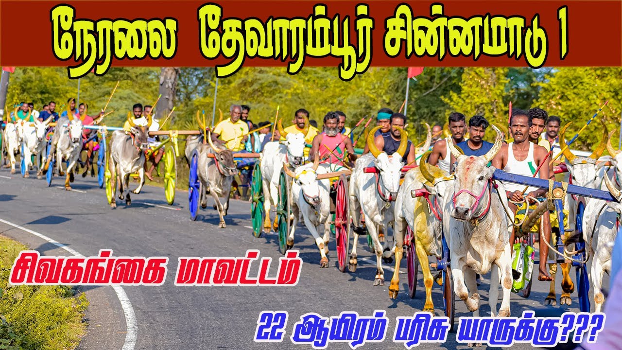 ⭕நேரலை தேவாரம்பூர் சின்னமாடு 16K பந்தயம் வெல்லப்போவது யார்?
