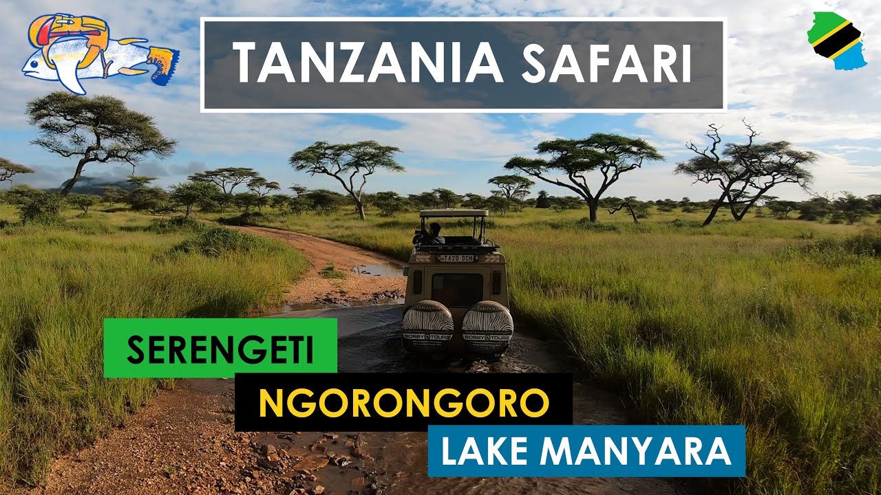 Tanzania SAFARI - Best of Serengeti, Ngorongoro & Lake Manyara | 4K