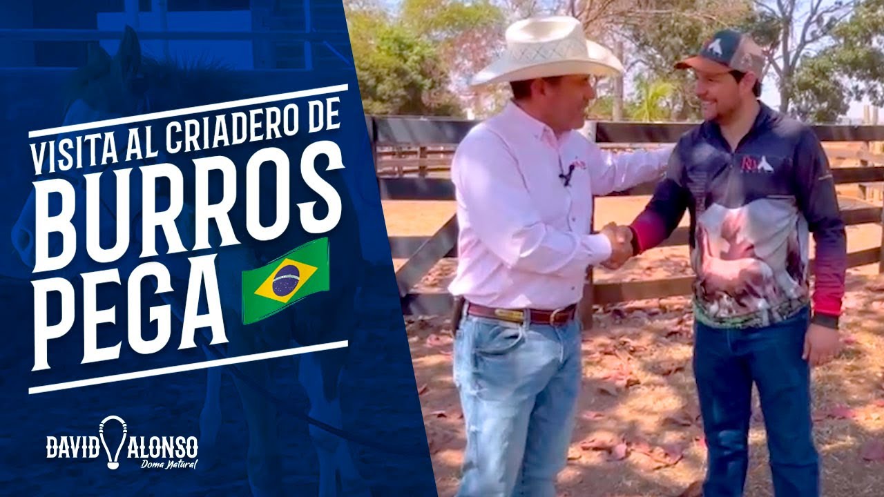 Visita a Criadero RLV de Burros Pega