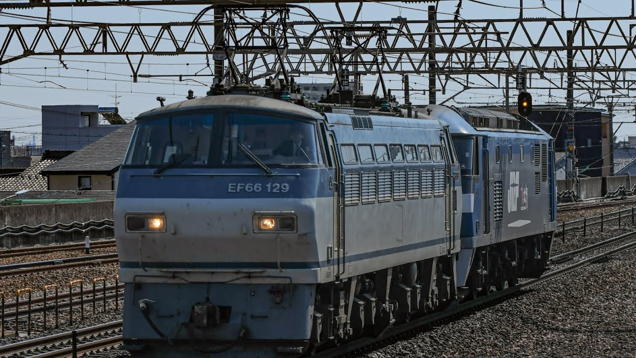 3月11日 8865レ EF66 129(吹)+ﾑﾄﾞEF210-160(吹)が尾張一宮駅を通過するシーン