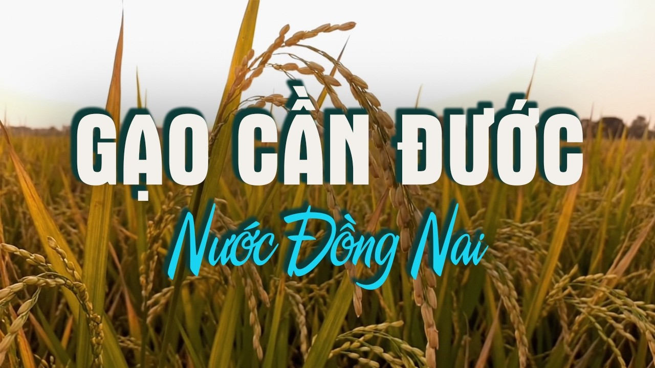 Gạo Cần Đước, Nước Đồng Nai