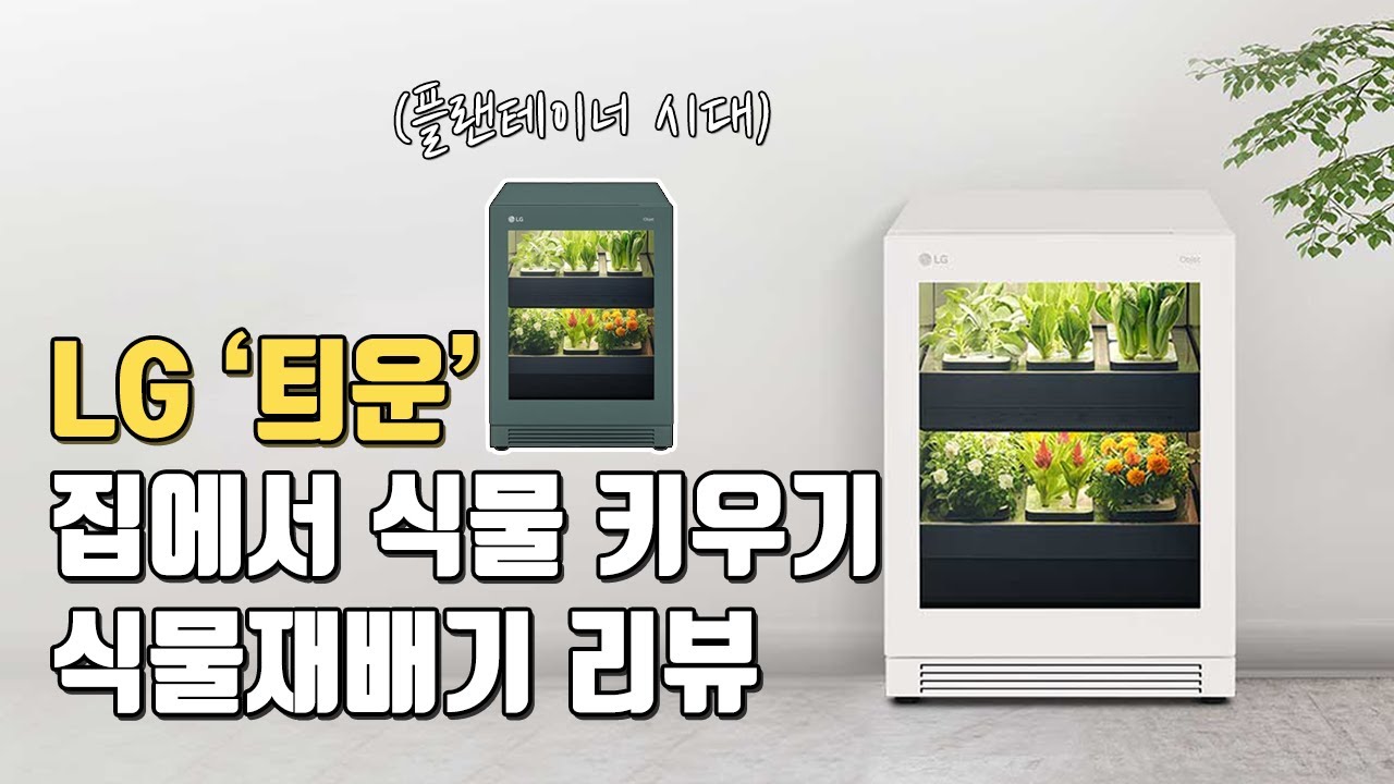 LG 틔운 집에서 식물키우기! 식물재배기 리뷰 [IT동아 리뷰]