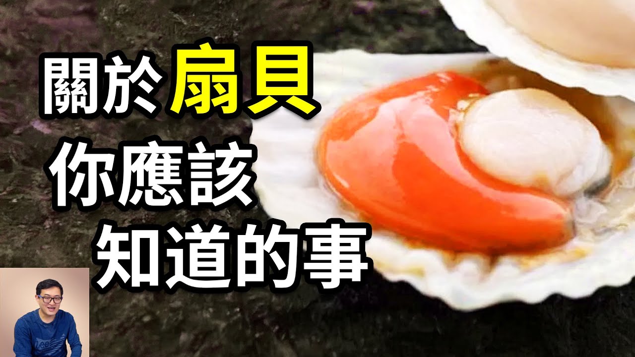 原來干貝竟然不一定是扇貝的貝柱！扇貝到底有多詭異？會自由游泳，還有眼睛！自帶蒜蓉粉絲的動物，扇貝的瘋狂真相！【老肉雜談】#動物 #海鮮 #扇貝 #美食 #海洋