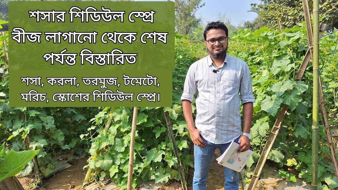 শসার শিডিউল স্প্রে A to Z